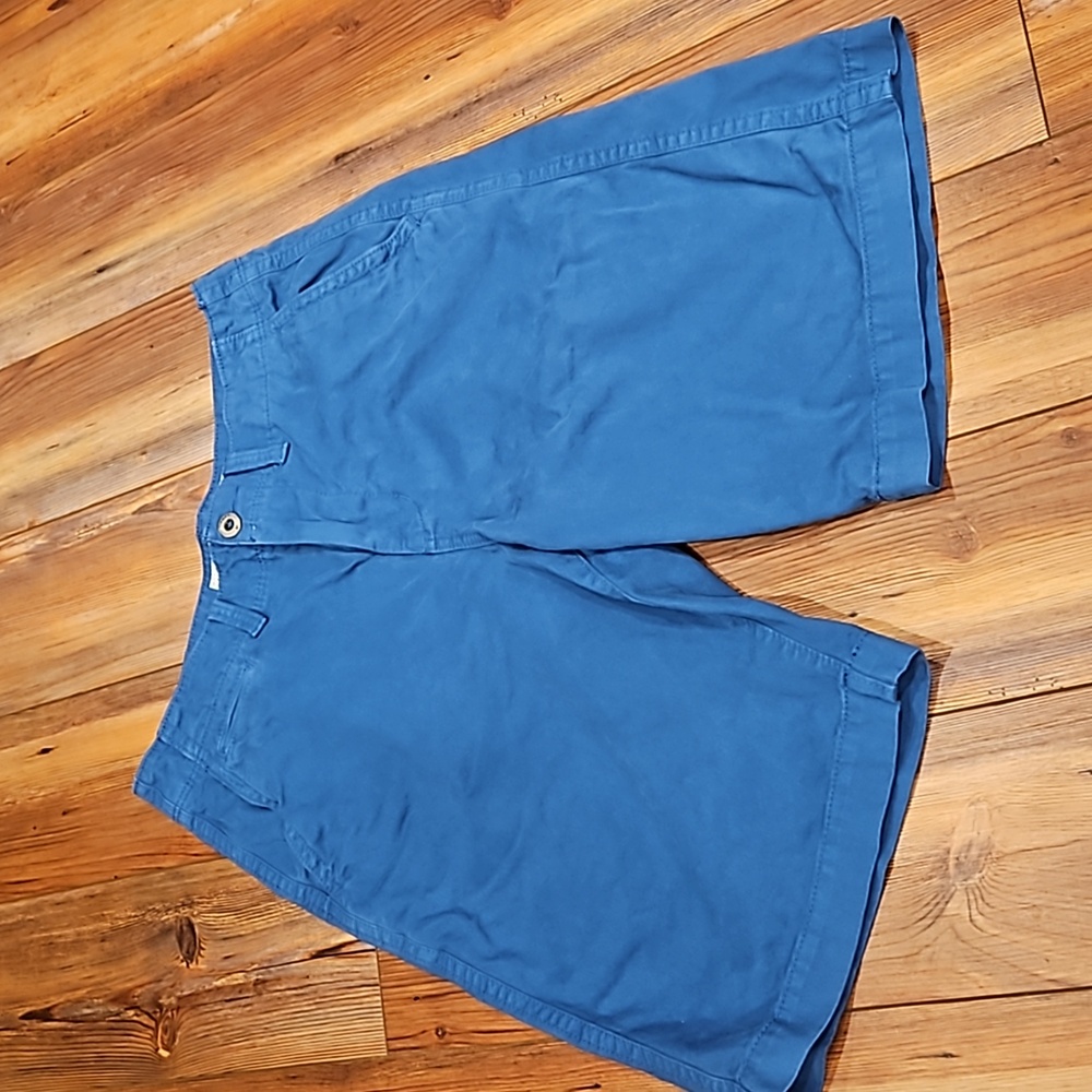 American eagle long board shorts